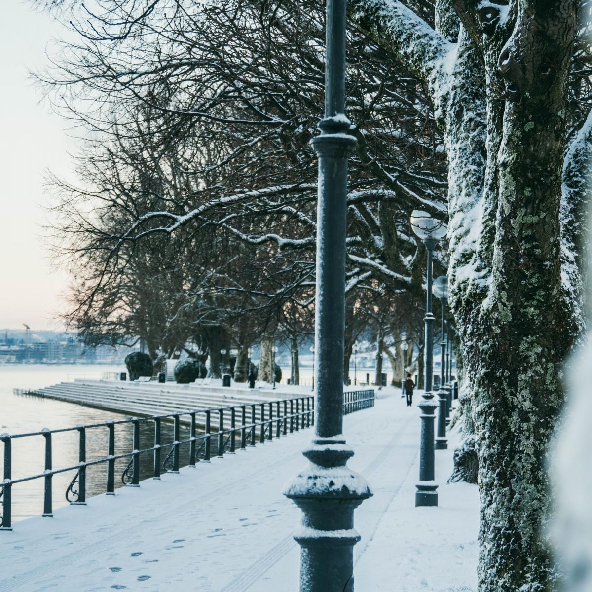 Molo Bregenz im Winter