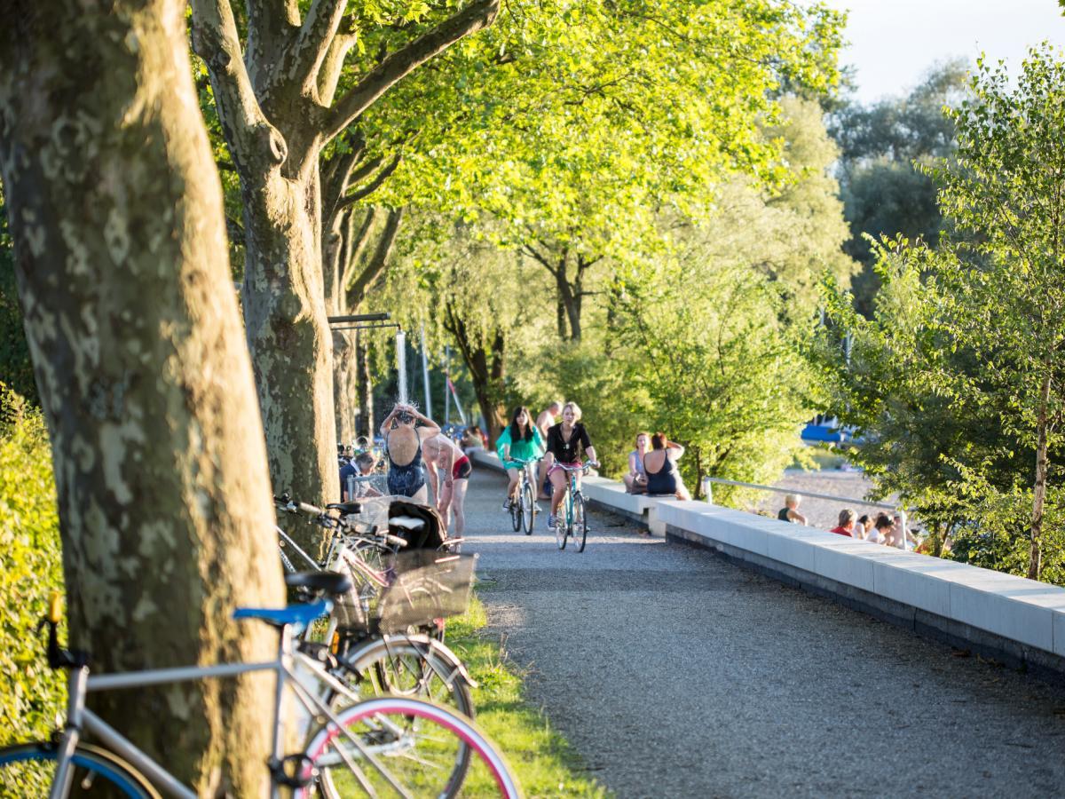 Biken und Radfahren am Bodensee